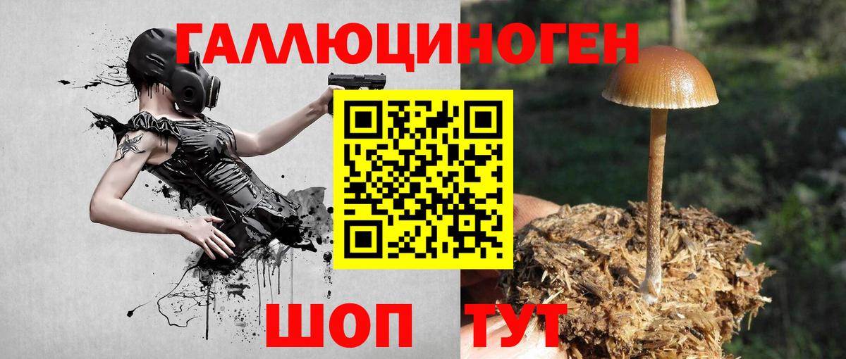 Псилоцибиновые грибы мухоморы Тихвин